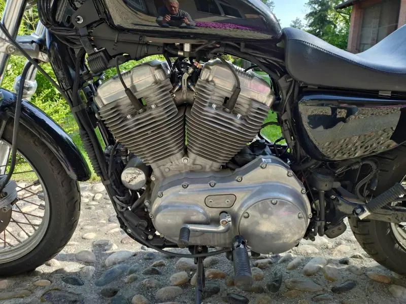 Harley-Davidson 883 (2006 - 07) - XL (4)