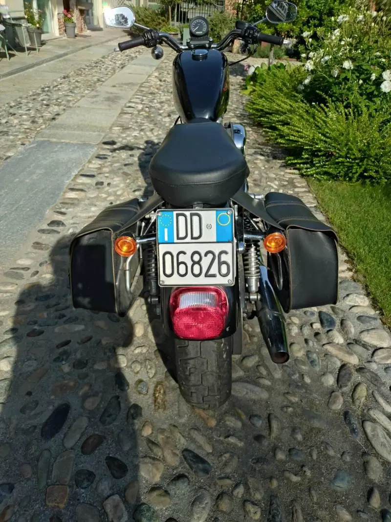 Harley-Davidson 883 (2006 - 07) - XL (5)