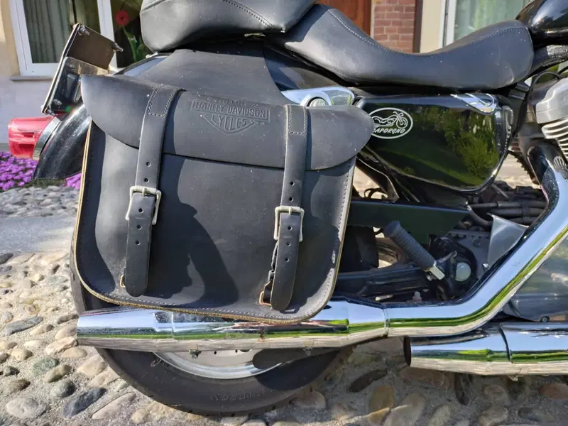 Harley-Davidson 883 (2006 - 07) - XL (6)