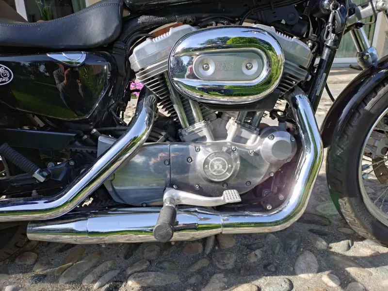 Harley-Davidson 883 (2006 - 07) - XL (7)