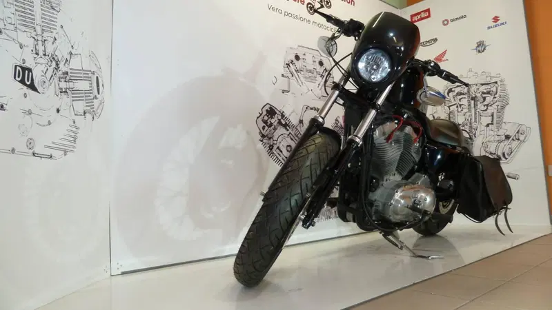 Harley-Davidson 883 (2006 - 07) - XL (6)