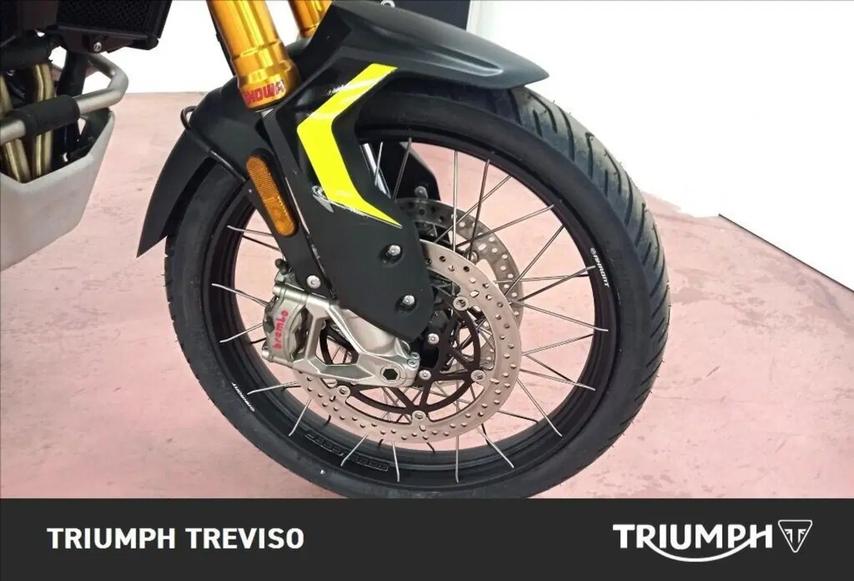 Triumph Tiger 900 Rally Pro (2024 - 26) (3)