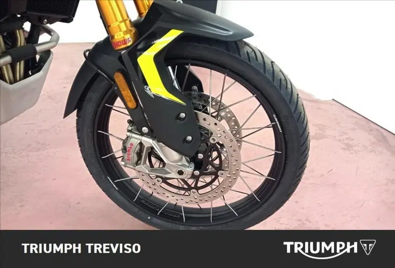 Triumph Tiger 900 Rally Pro (2024 - 26) (3)