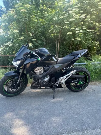 Kawasaki Z 800 e (2012 - 13) usata