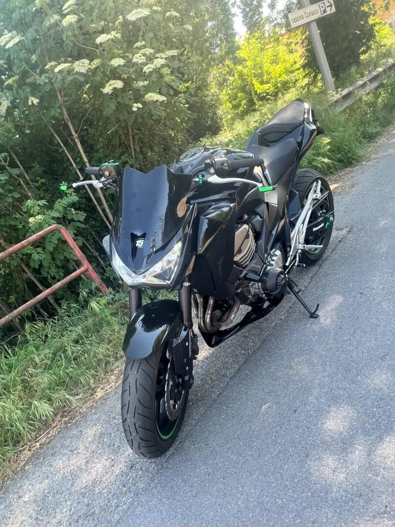 Kawasaki Z 800 e (2012 - 13) (2)
