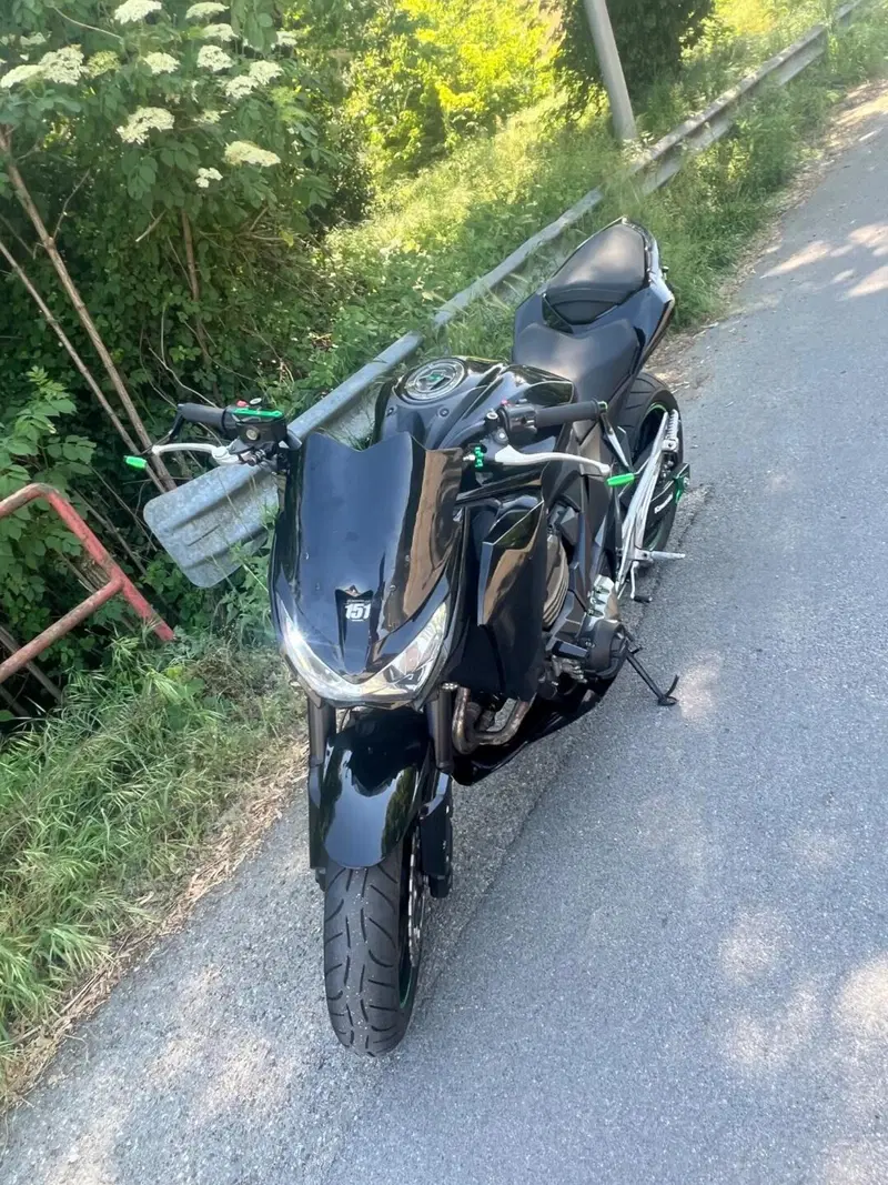Kawasaki Z 800 e (2012 - 13) (3)