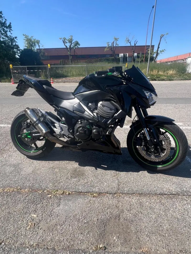 Kawasaki Z 800 e (2012 - 13) (6)