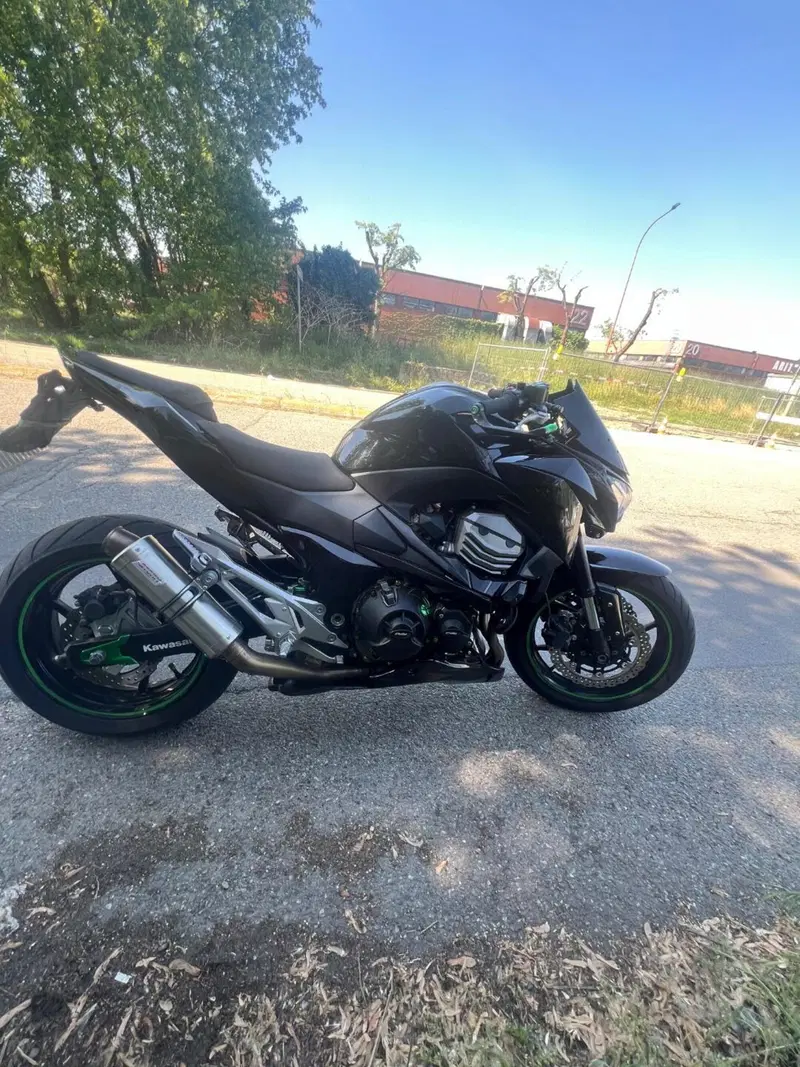 Kawasaki Z 800 e (2012 - 13) (7)