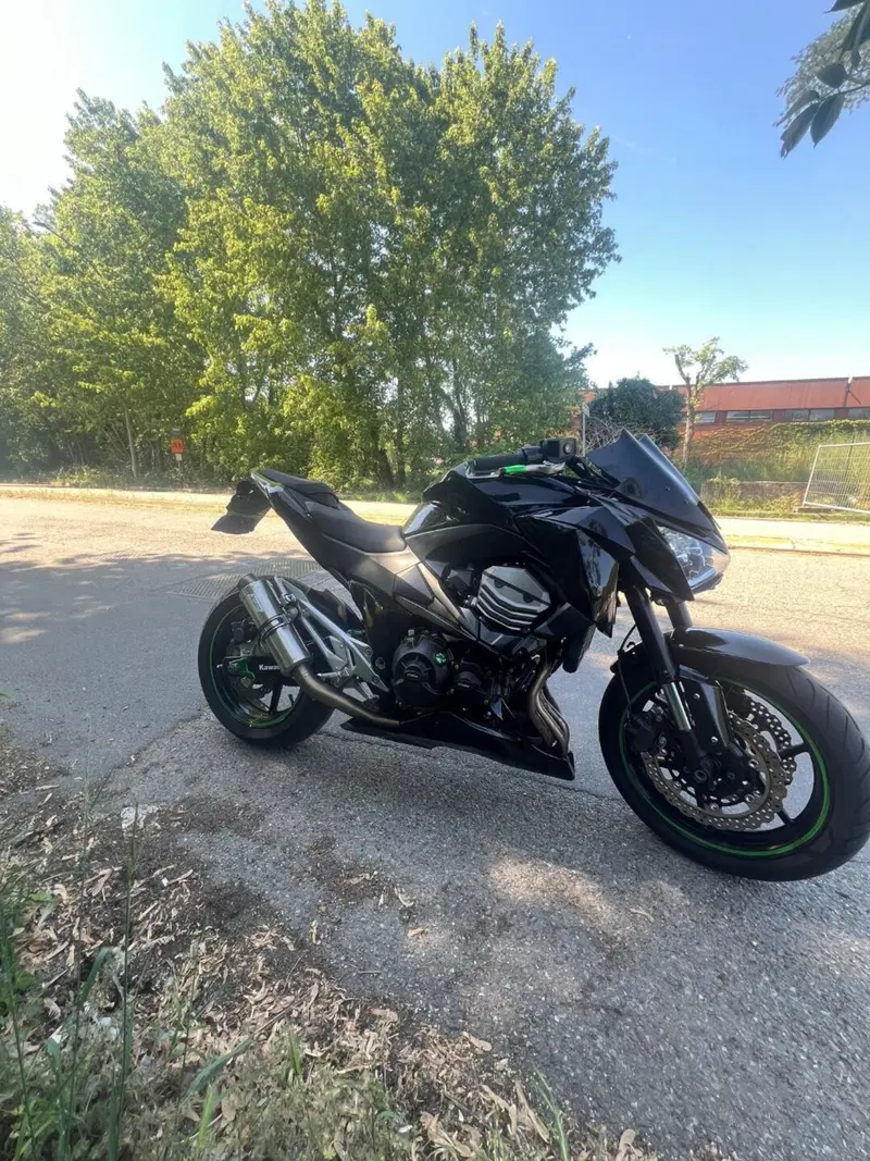 Kawasaki Z 800 e (2012 - 13) (9)