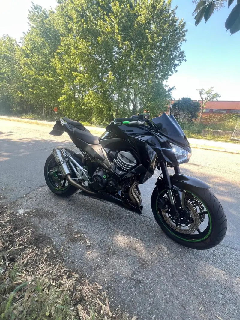 Kawasaki Z 800 e (2012 - 13) (10)