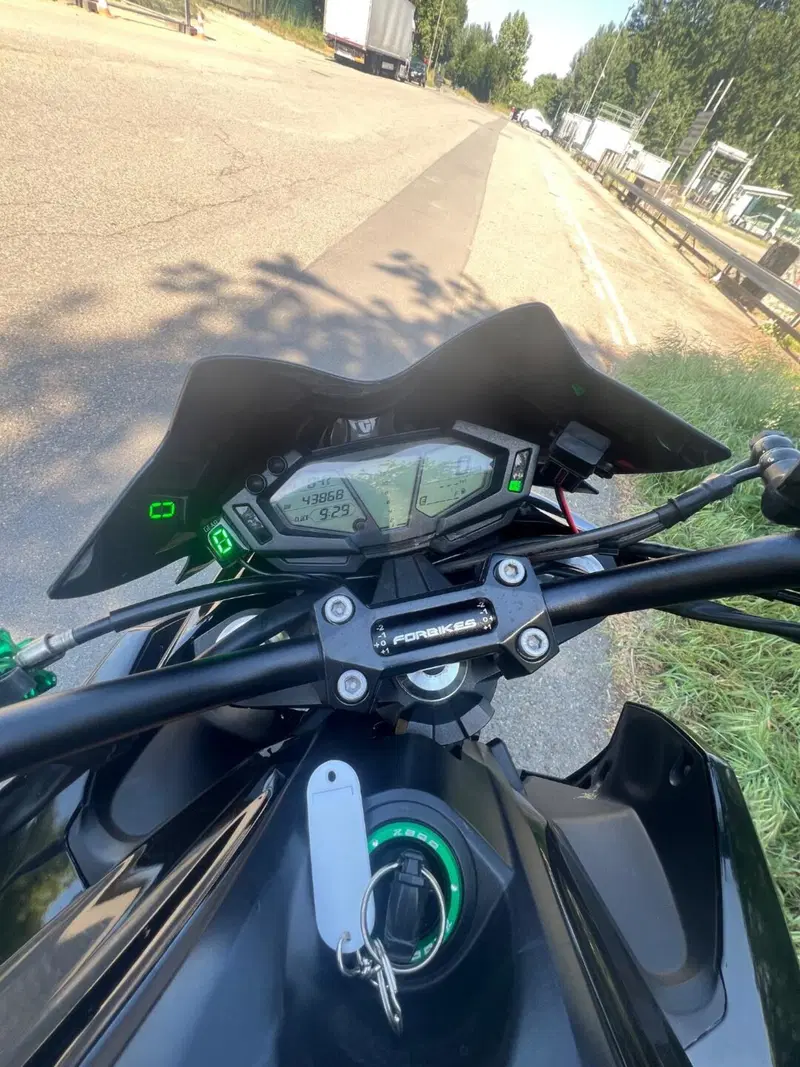 Kawasaki Z 800 e (2012 - 13) (11)