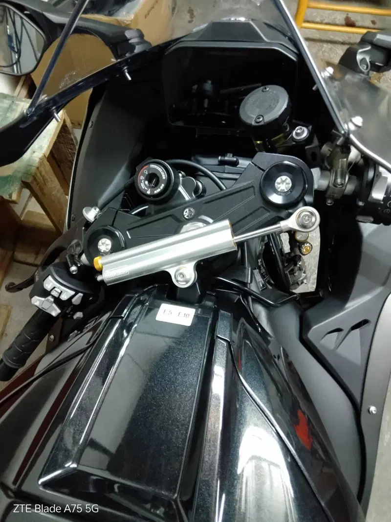 Kawasaki Ninja 1000 ZX-10R Performance (2026) (3)