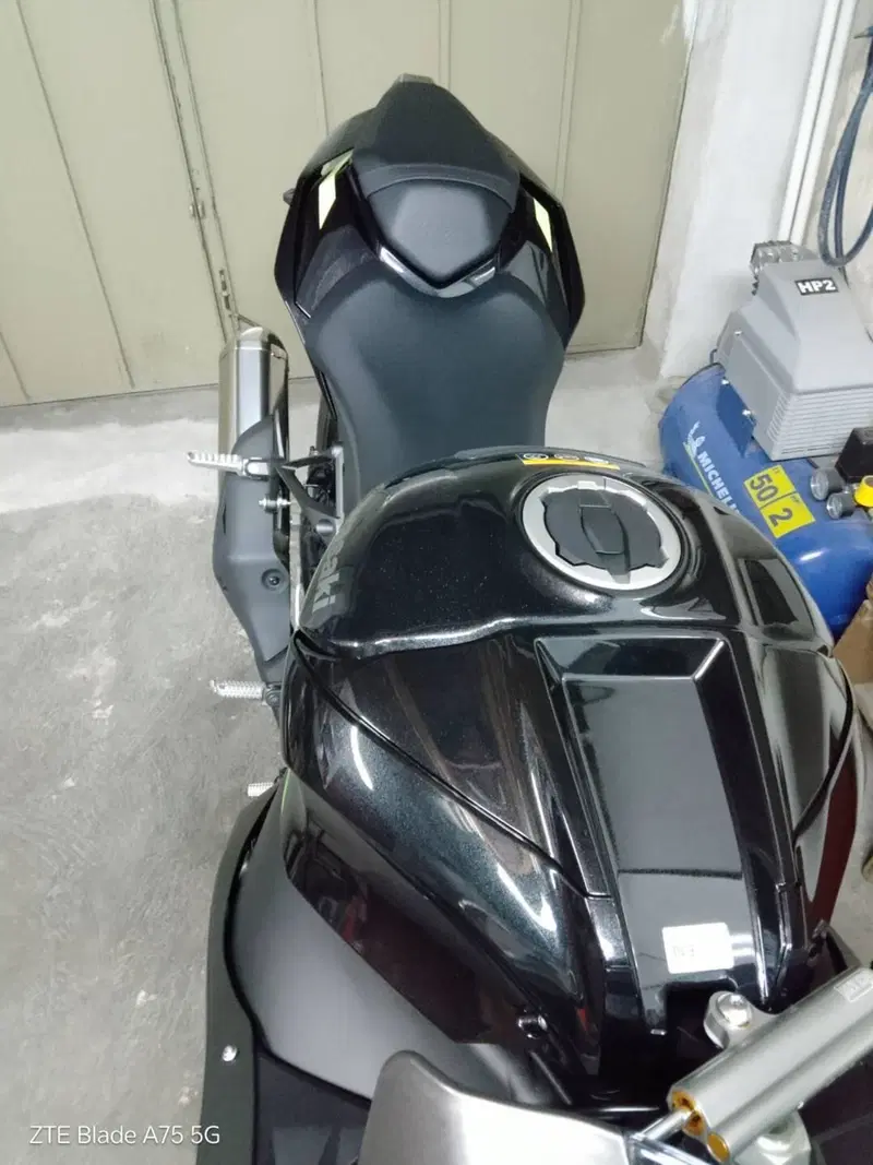Kawasaki Ninja 1000 ZX-10R Performance (2026) (4)