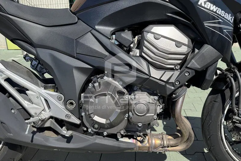 Kawasaki Z 800 e ABS (2012 - 16) (15)