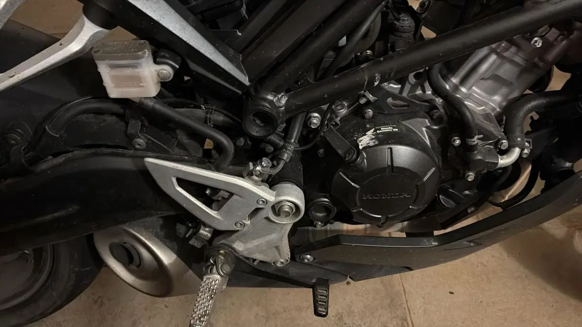 Honda CB 125 R (2021 - 23) (4)