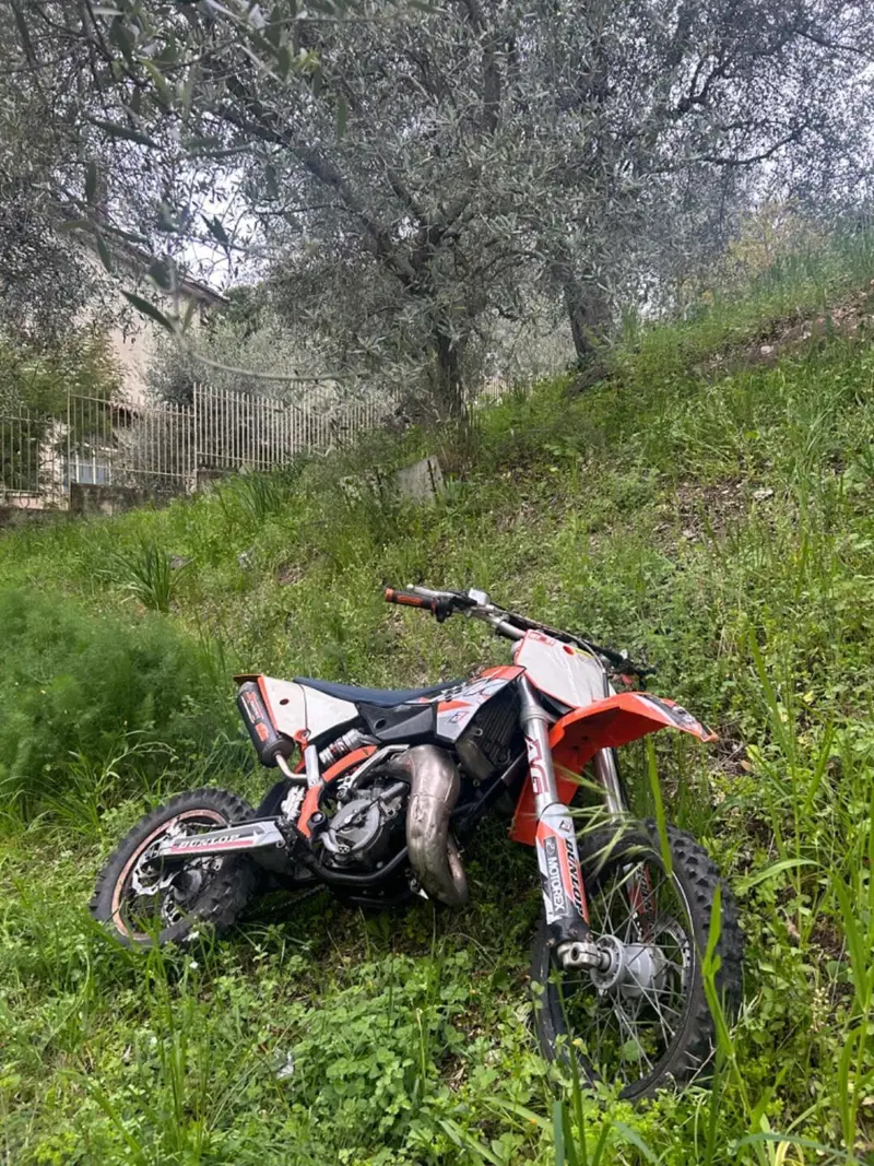 KTM 65 SX (2012) (3)