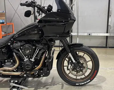 Harley-Davidson Low Rider ST (2022 - 24) usata
