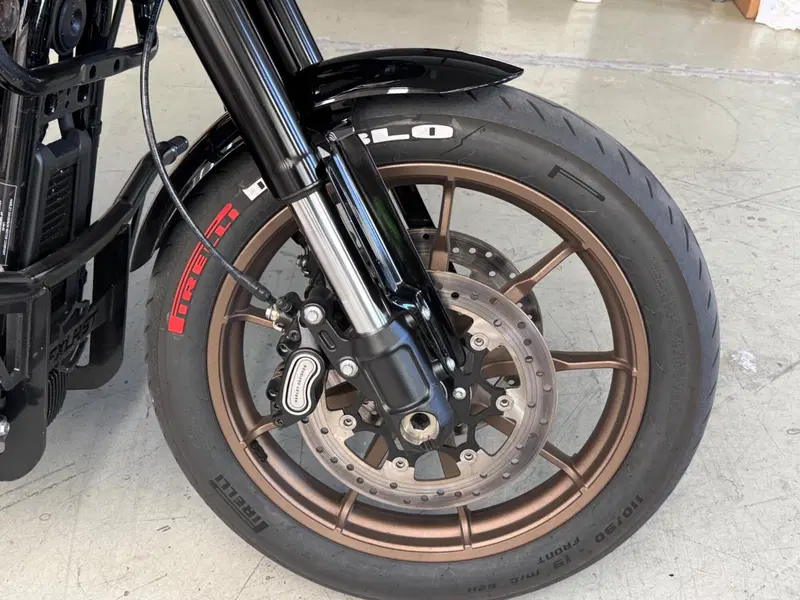Harley-Davidson Low Rider ST (2022 - 24) (4)