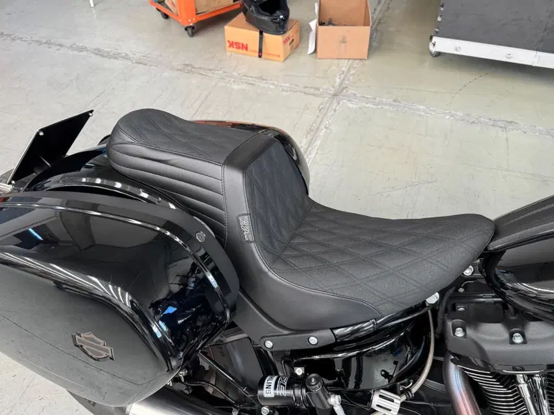 Harley-Davidson Low Rider ST (2022 - 24) (8)
