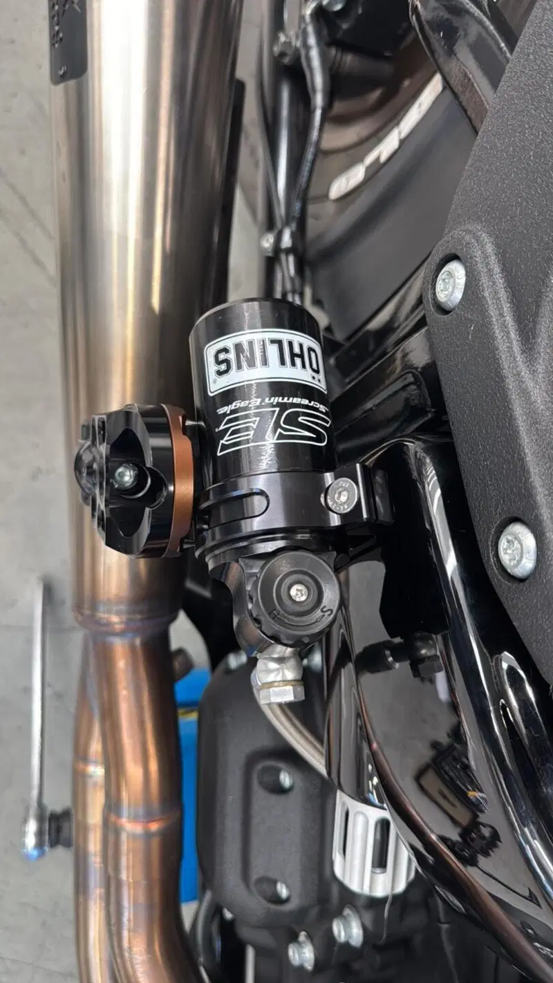 Harley-Davidson Low Rider ST (2022 - 24) (16)