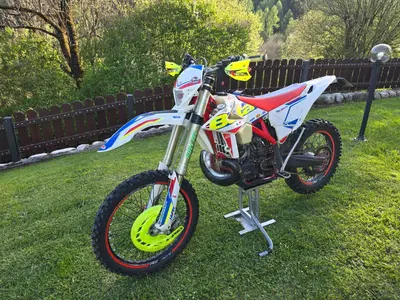 Betamotor RR 300 2T Enduro Racing (2019) usata