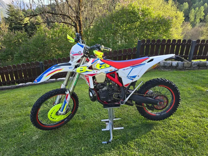 Betamotor RR 300 2T Enduro Racing (2019) (14)