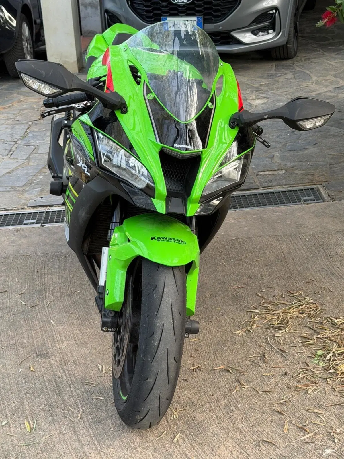 Kawasaki Ninja 1000 ZX-10R KRT Replica (2019 - 20)