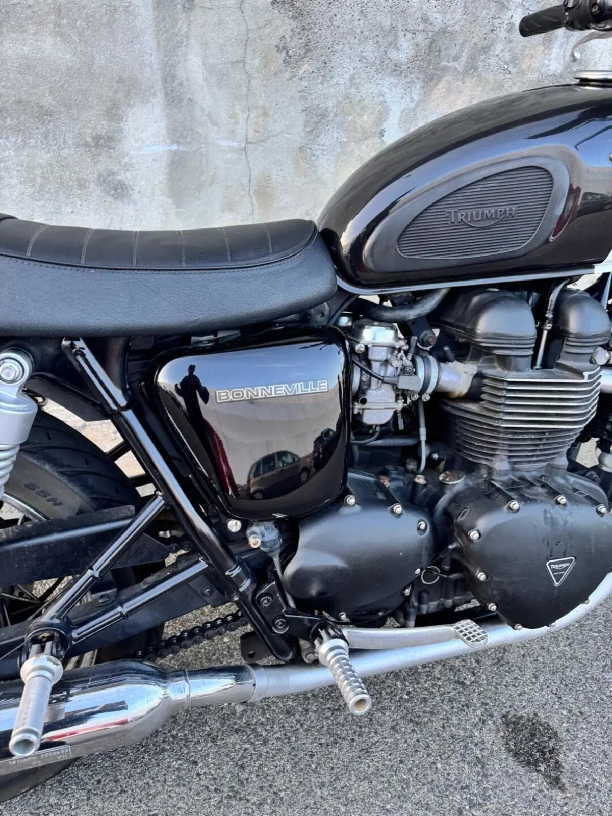 Triumph Bonneville T100 (2001 - 07) (7)