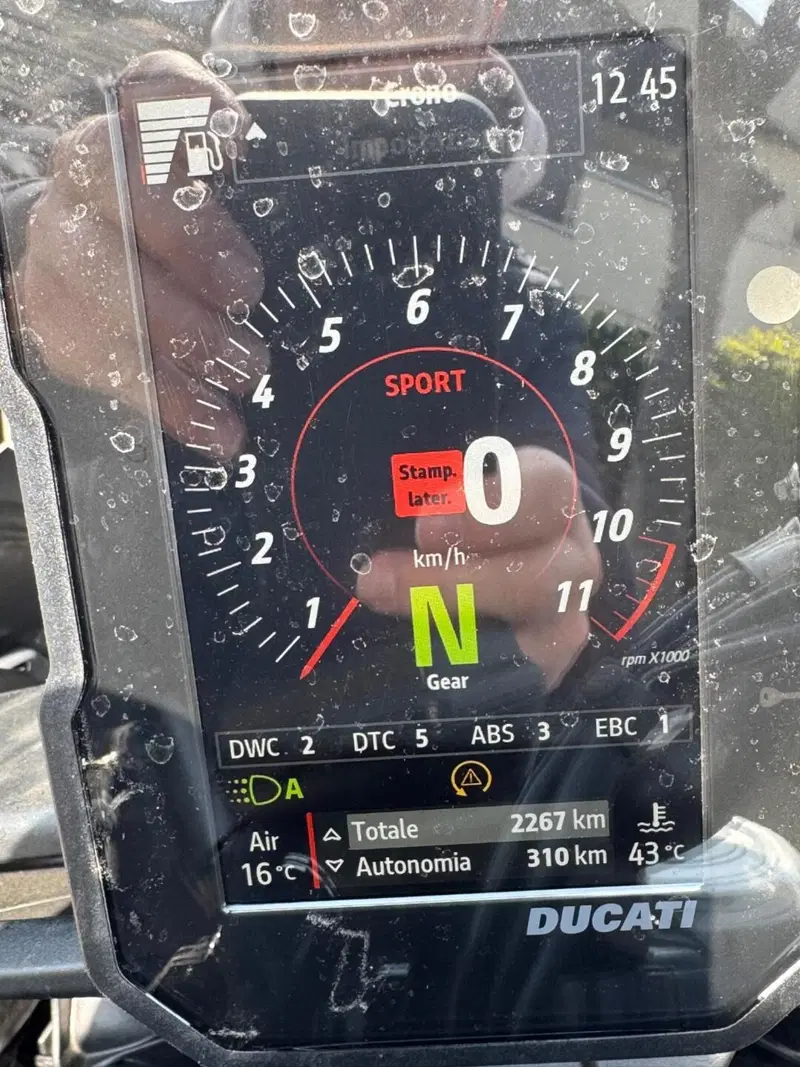 Ducati DesertX Rally (2024 - 25) (8)