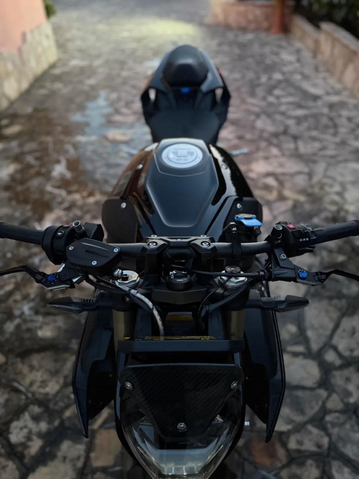 Bmw S 1000 R (2021 - 24) (7)