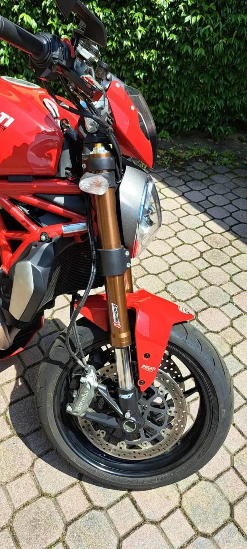Ducati Monster 1200 (2017 - 21) (9)