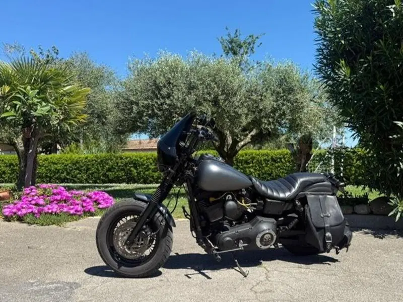 Harley-Davidson 1450 Super Glide Sport (1999 - 01) - FXDX (2)