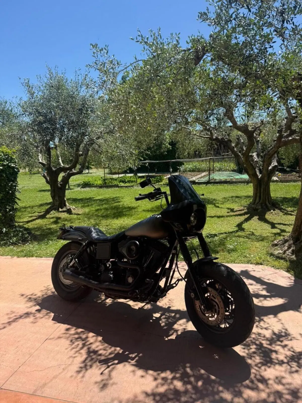 Harley-Davidson 1450 Super Glide Sport (1999 - 01) - FXDX (6)