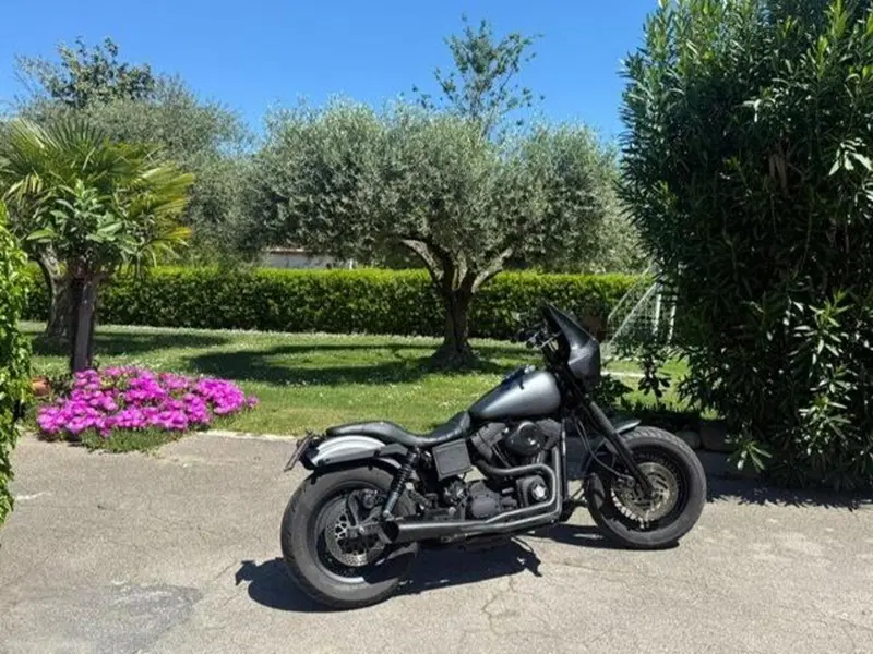 Harley-Davidson 1450 Super Glide Sport (1999 - 01) - FXDX (15)