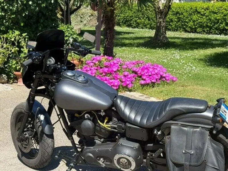 Harley-Davidson 1450 Super Glide Sport (1999 - 01) - FXDX (17)