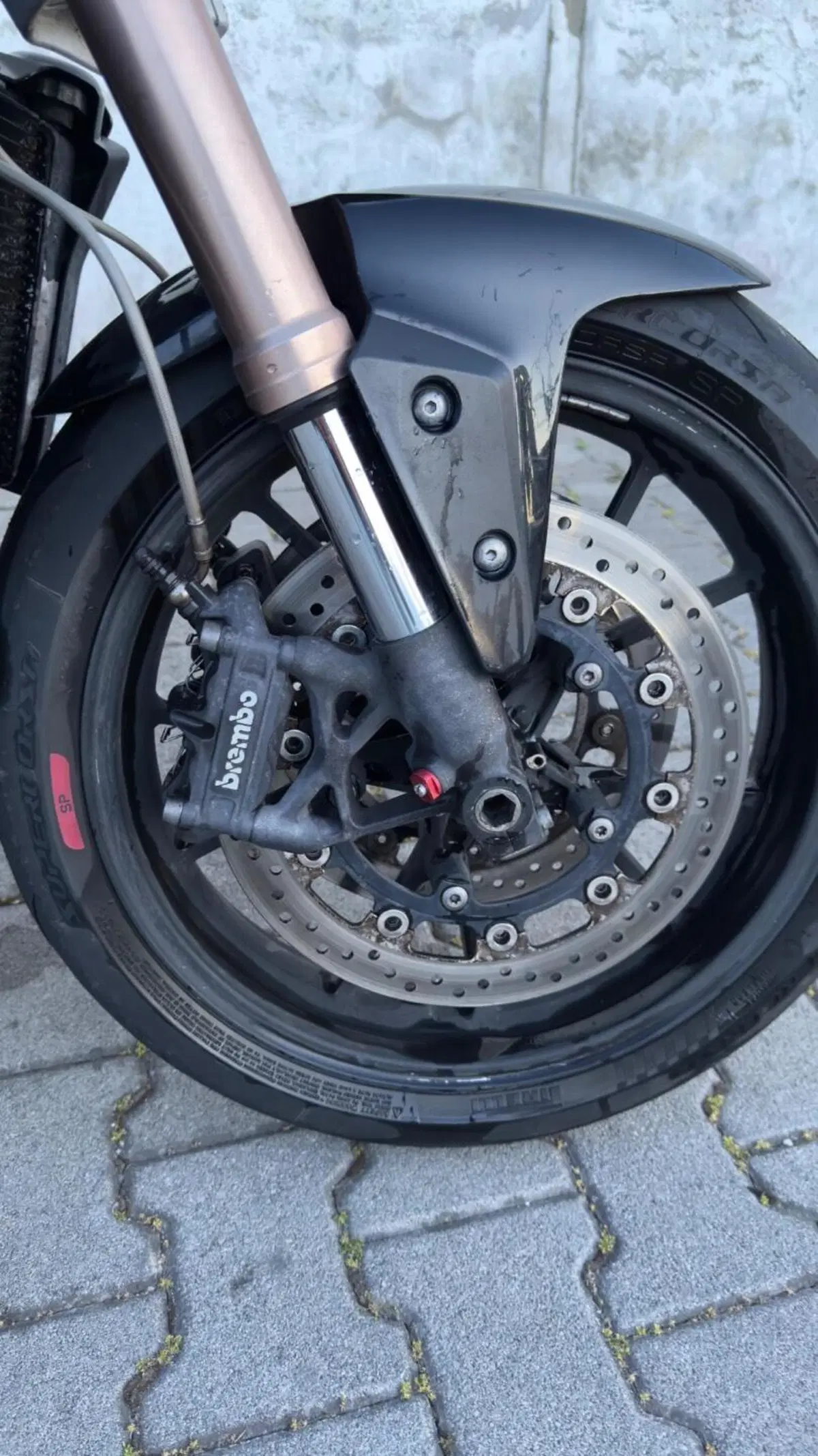 Triumph Speed Triple 1050 R (2011 - 13) (8)