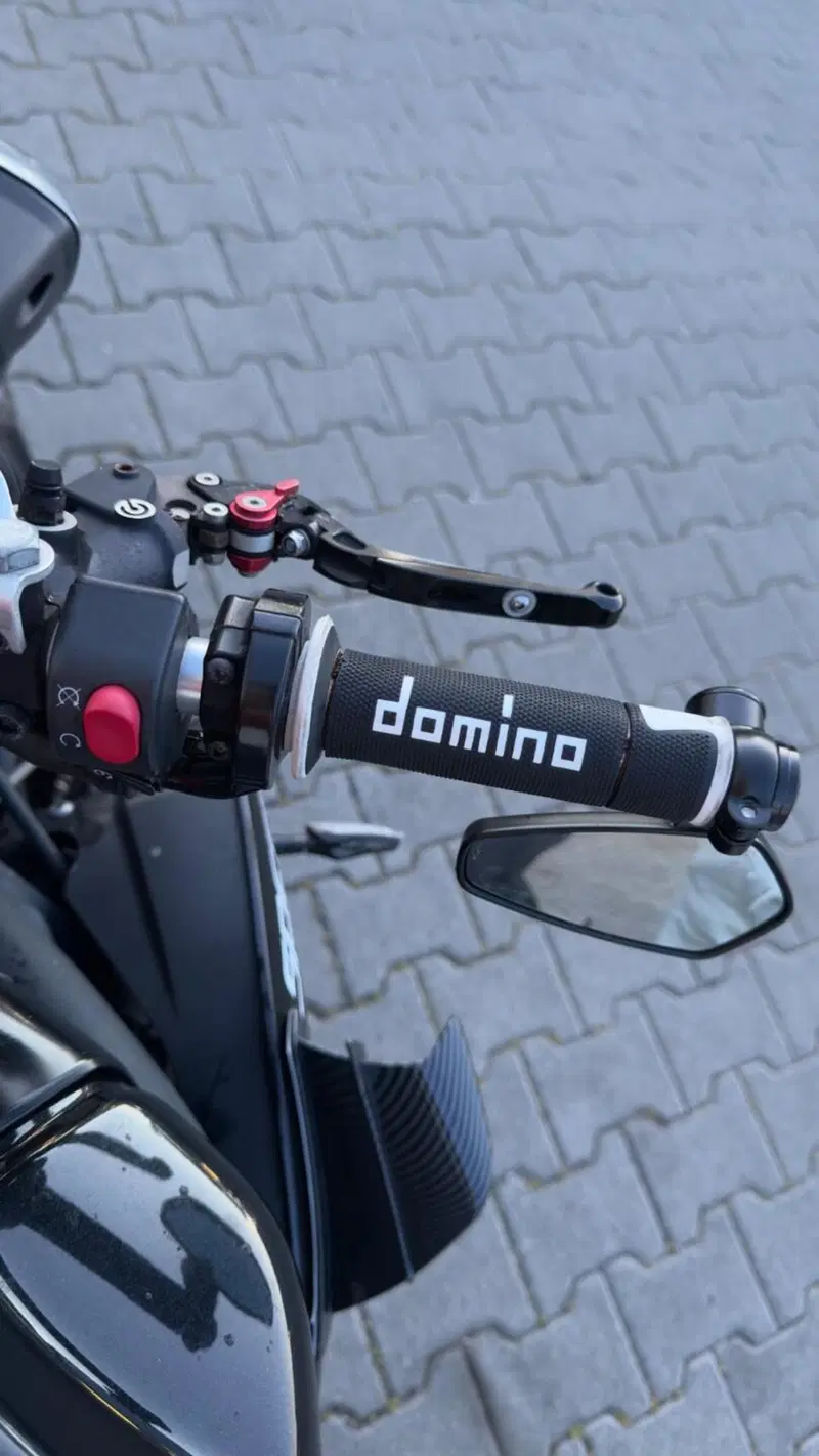 Triumph Speed Triple 1050 R (2011 - 13) (11)