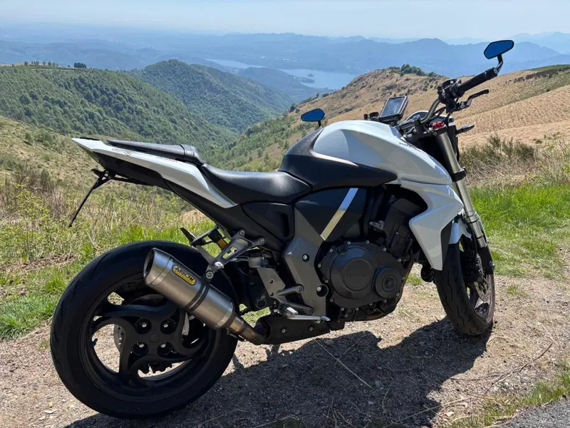 Honda CB 1000 R (2008 - 10) (6)