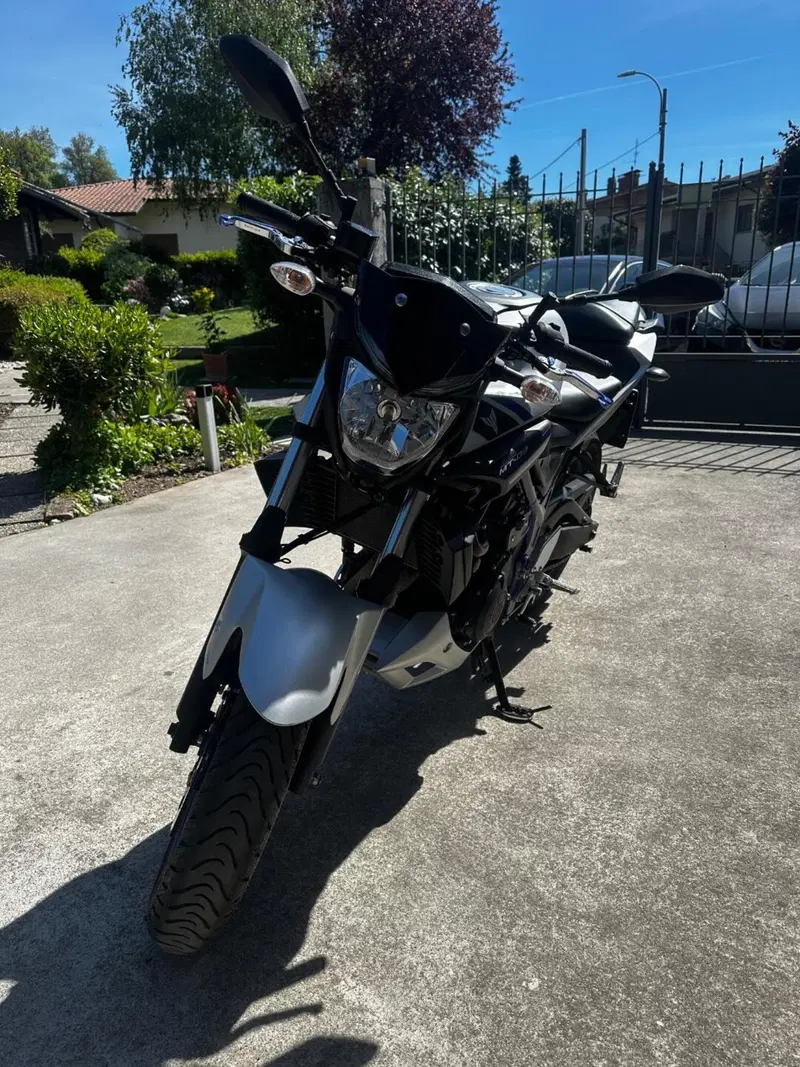 Yamaha MT-03 (2016 - 17) (3)