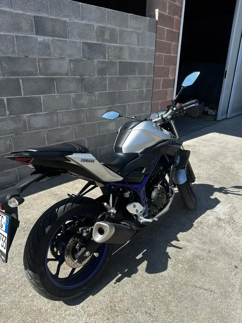 Yamaha MT-03 (2016 - 17) (6)