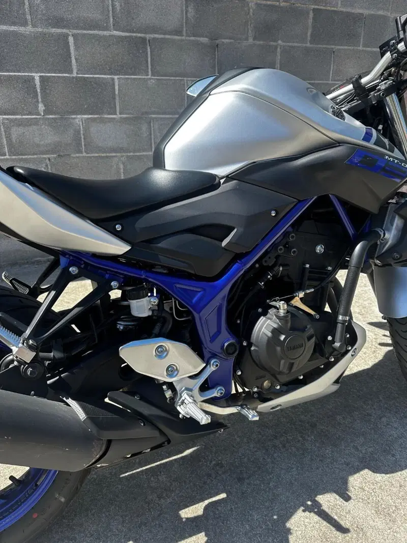 Yamaha MT-03 (2016 - 17) (7)