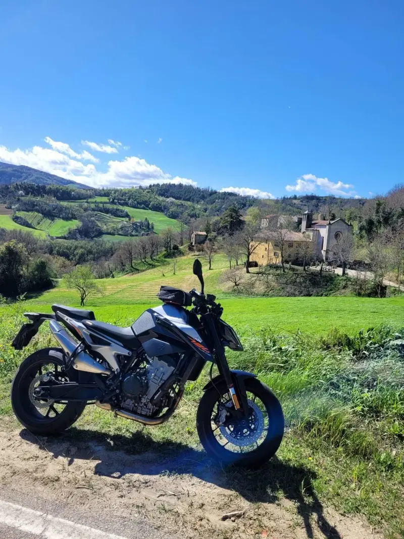 KTM 790 Duke (2018 - 20) (2)