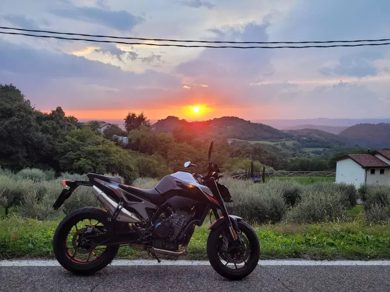 KTM 790 Duke (2018 - 20) (3)
