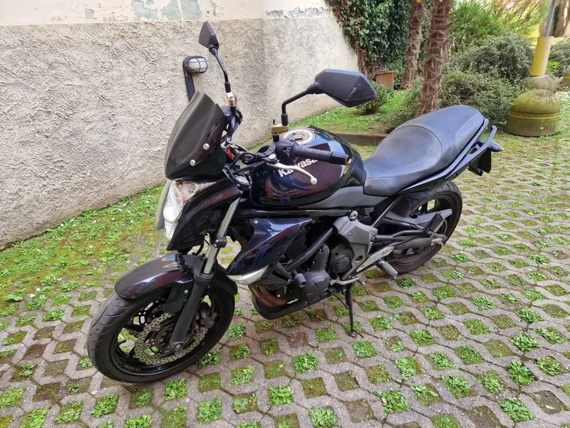 Kawasaki ER-6N (2009 - 11) (3)