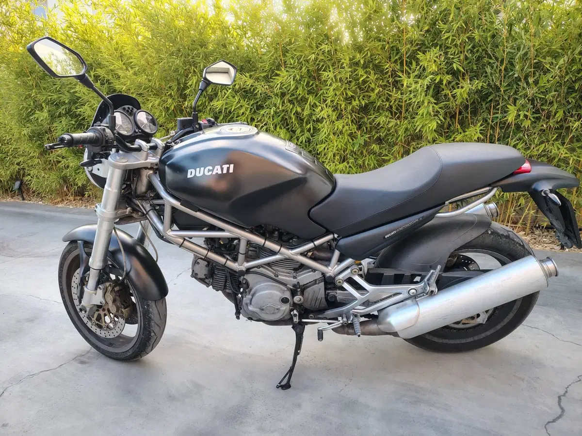 Ducati Monster 620 Dark (2003 - 06) (2)