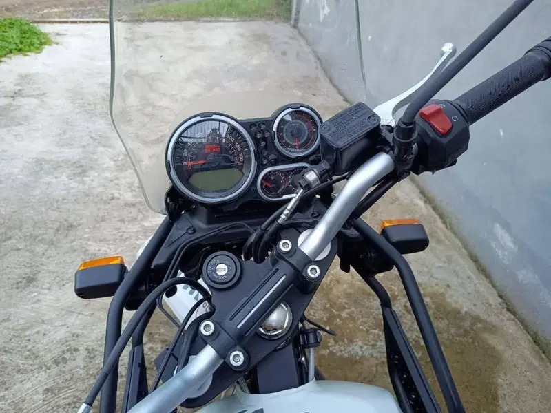 Royal Enfield Himalayan 411 (2017 - 20) (2)