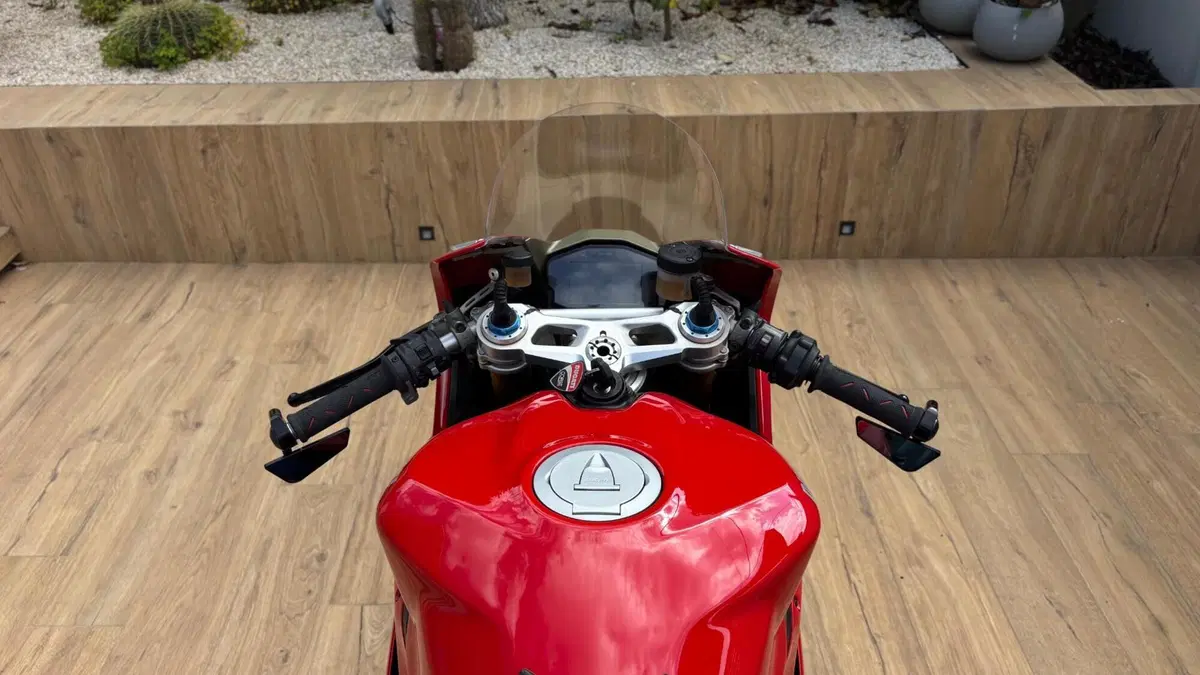 Ducati 1299 Panigale S (2015 - 18) (13)