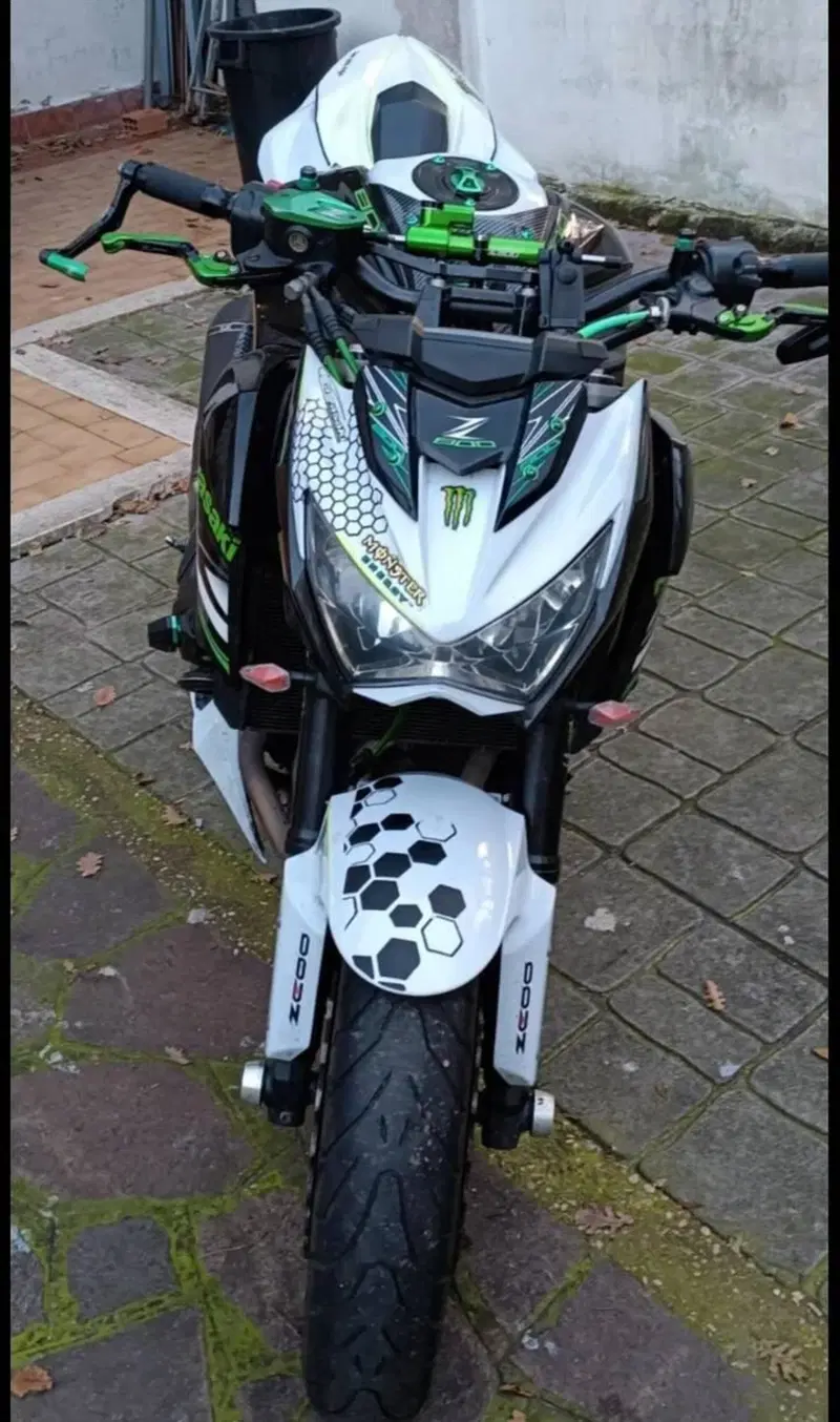 Kawasaki Z 800 (2012 - 13) (2)