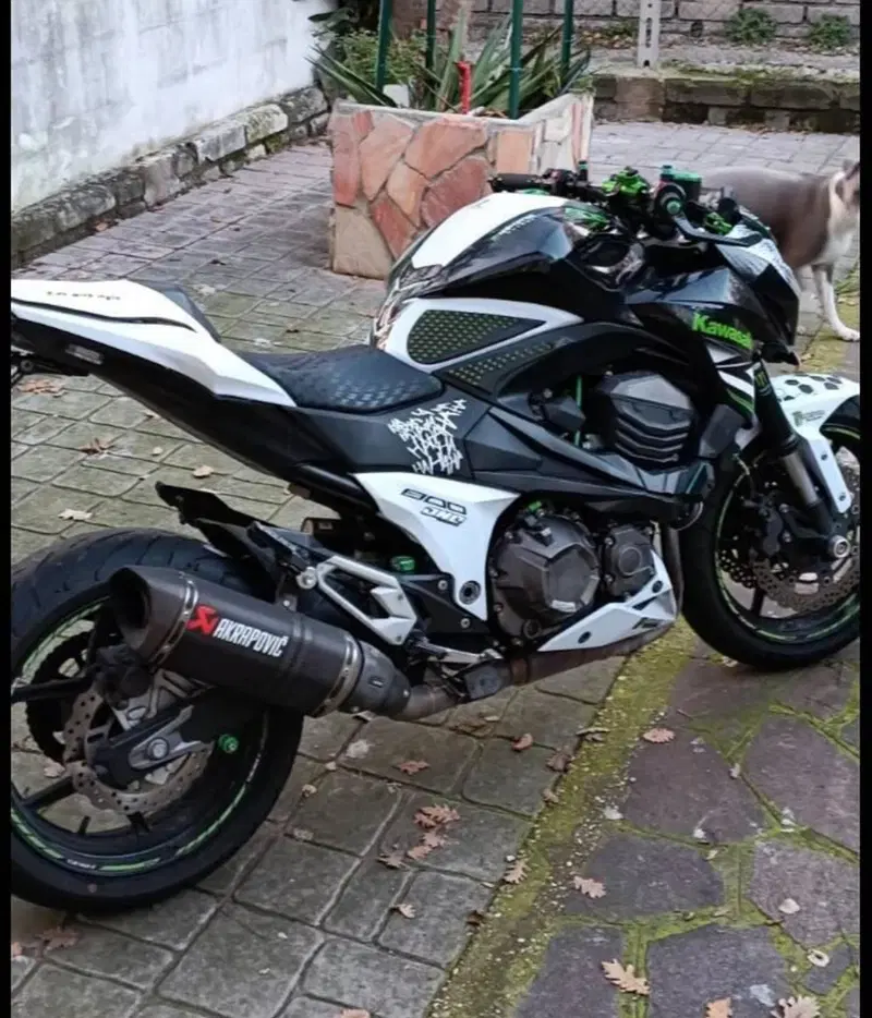 Kawasaki Z 800 (2012 - 13) (3)