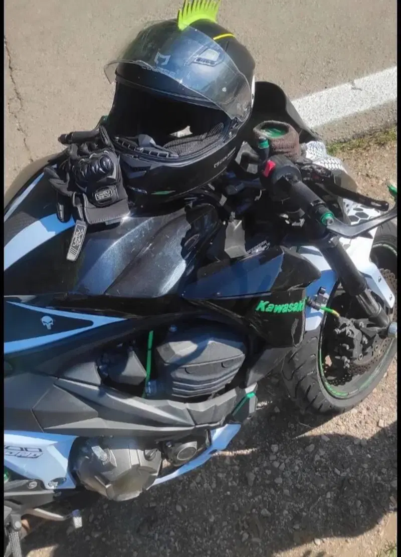 Kawasaki Z 800 (2012 - 13) (5)